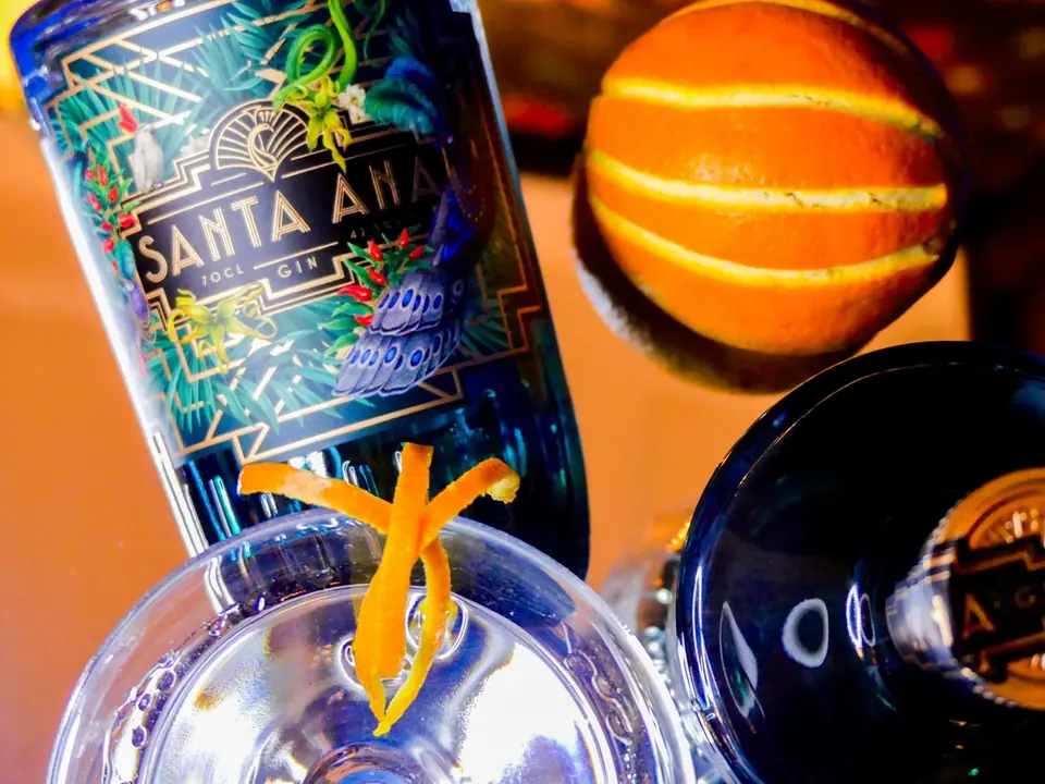 Bouteille de gin, oranges et verre en contre-jour